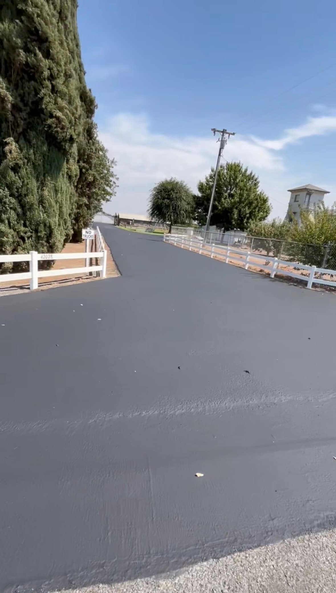 Freshly sealed black asphalt driveway lined with white wooden fences and tall green cypress trees.