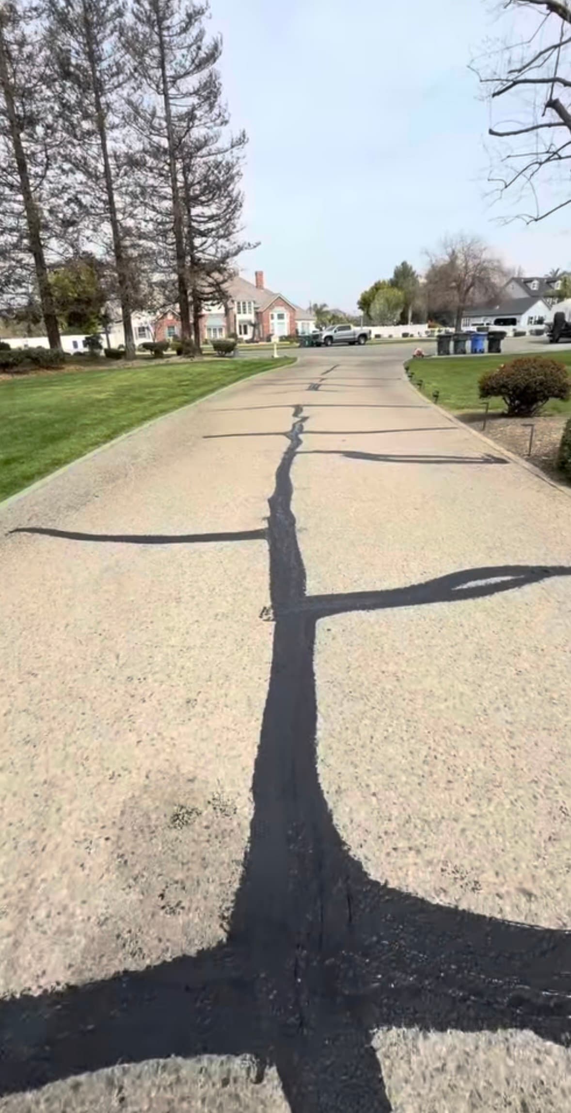 Thick black crack filler applied in a branching pattern along a long, light-colored suburban driveway.